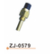 ZJ-0579 water temperature sensor