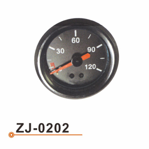 ZJ-0202 Water Temperarture Gauge
